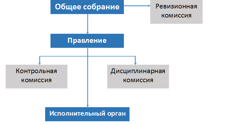 Структура СРО